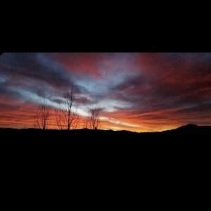 Meet your Posher, Michele